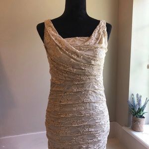 Express dress size 0 champagne lace
